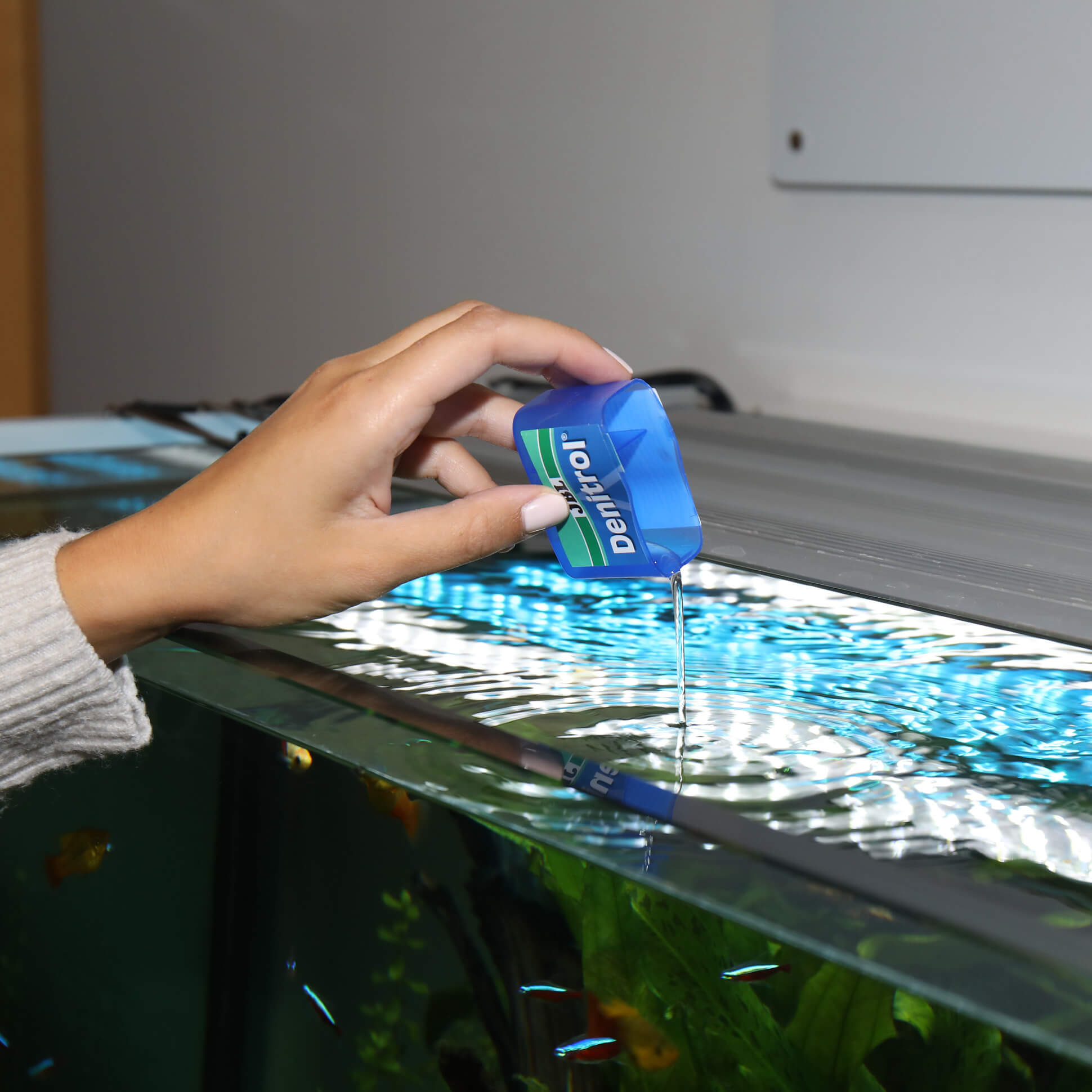 JBL Denitrol Activador biológico para acuarios de agua dulce y salada para introducir los peces de acuario Gabo&Gordo Pet Shop en Las Palmas de Gran Canaria tienda para mascotas, perros, gatos, conejos, tortugas, animales, accesorios para mascotas