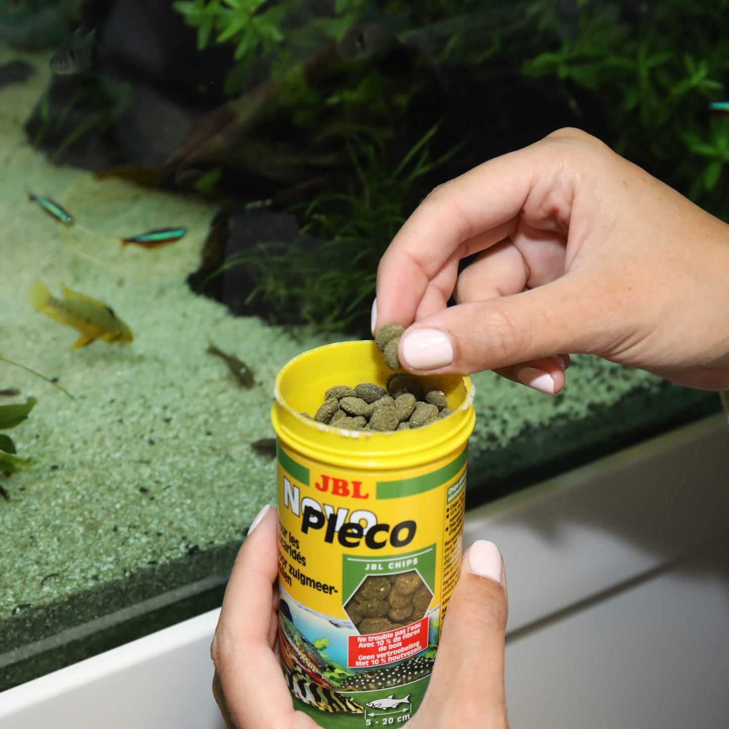 JBL NovoPleco Alimento básico para plecos pequeños y medianos