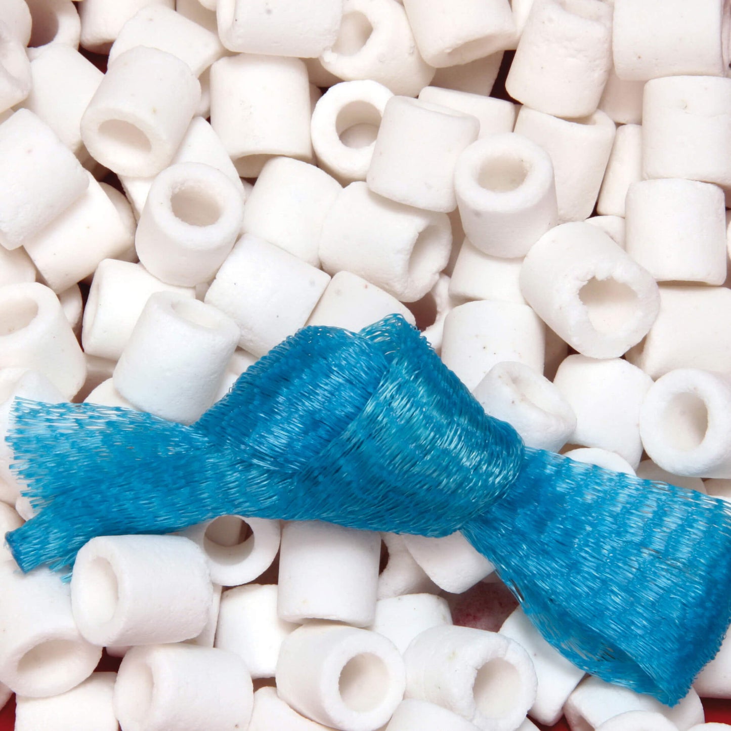 JBL SINTOMEC Gabo&Gordo Pet Shop en Las Palmas de Gran Canaria tienda para mascotas, perros, gatos, conejos, tortugas, animales, accesorios para mascotas