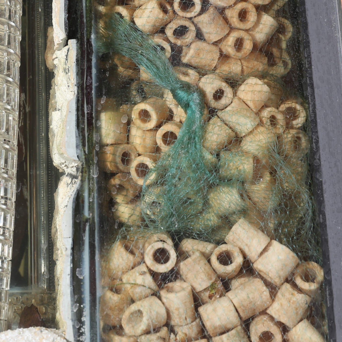 JBL SINTOMEC Gabo&Gordo Pet Shop en Las Palmas de Gran Canaria tienda para mascotas, perros, gatos, conejos, tortugas, animales, accesorios para mascotas