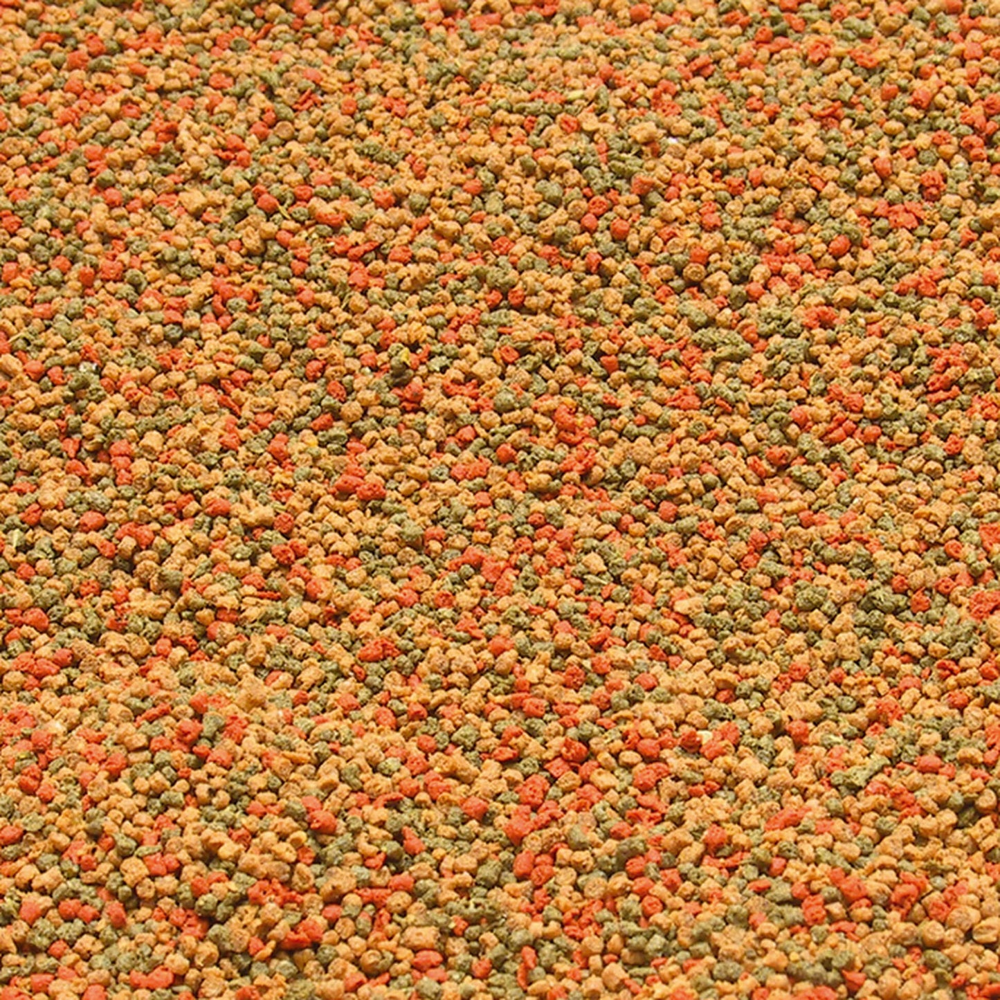JBL NovoGranoMix CLICK Alimento básico para peces de acuario medianos y grandes Gabo&Gordo Pet Shop en Las Palmas de Gran Canaria tienda para mascotas, perros, gatos, conejos, tortugas, animales, accesorios para mascotas