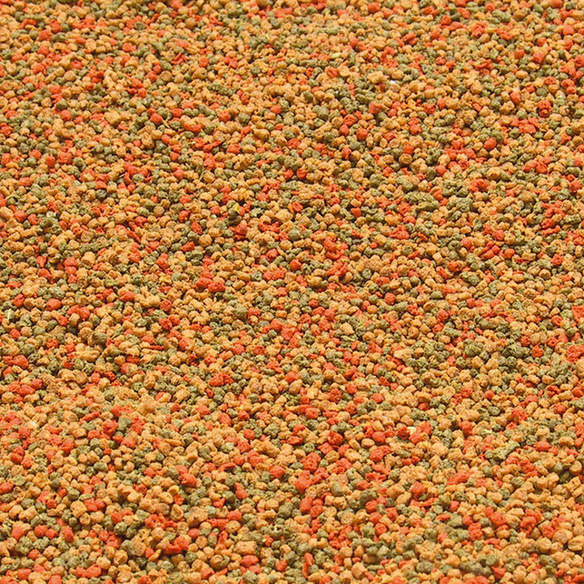JBL NovoGranoMix CLICK Alimento básico para peces de acuario medianos y grandes Gabo&Gordo Pet Shop en Las Palmas de Gran Canaria tienda para mascotas, perros, gatos, conejos, tortugas, animales, accesorios para mascotas