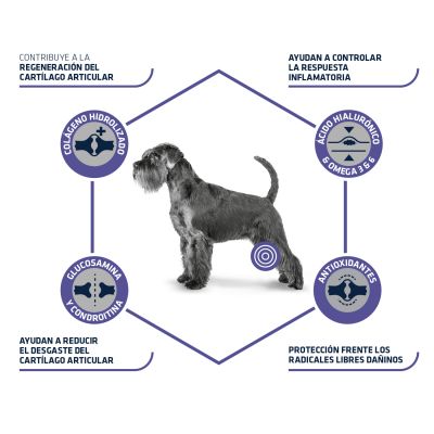 Pienso ADVANCE VET ARTICULAR en Las Palmas de Gran Canaria