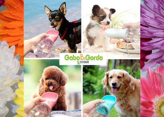BOTELLA ANTI DERRAME PARA PERROS Y GATOS Gabo&Gordo Pet Shop en Las Palmas de Gran Canaria tienda para mascotas, perros, gatos, conejos, tortugas, animales, accesorios para mascotas