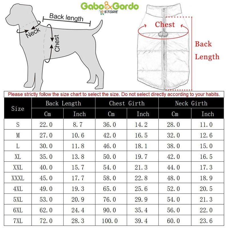 CHALECO LUXURY 80´s | CHALECO PARA PERROS Gabo&Gordo Pet Shop en Las Palmas de Gran Canaria tienda para mascotas, perros, gatos, conejos, tortugas, animales, accesorios para mascotas