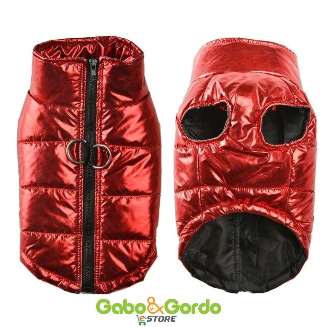 CHALECO LUXURY 80´s | CHALECO PARA PERROS Gabo&Gordo Pet Shop en Las Palmas de Gran Canaria tienda para mascotas, perros, gatos, conejos, tortugas, animales, accesorios para mascotas