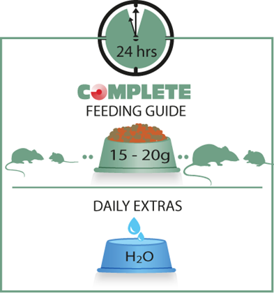 VERSELE LAGA COMPLETE RAT & MOUSE/ Alimento completo para ratas y ratones