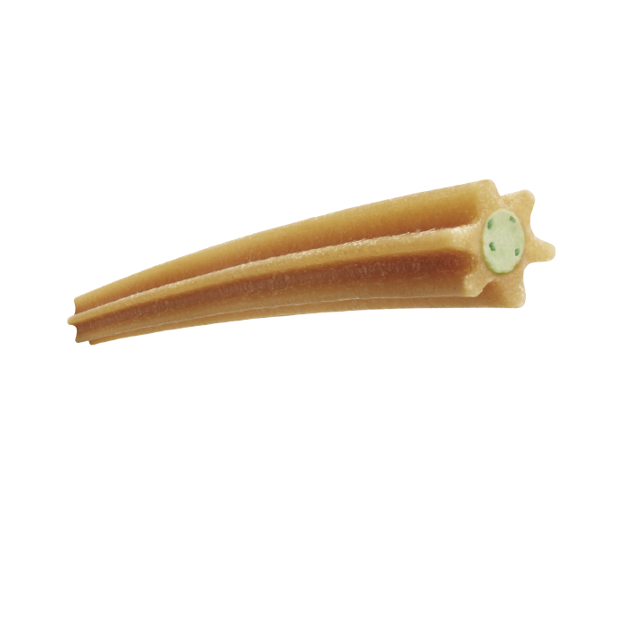 snack ADVANCE DENTAL CARE STICK MEDIUM-MAXI Gabo&Gordo Pet Shop en Las Palmas de Gran Canaria tienda para mascotas, perros, gatos, conejos, tortugas, animales