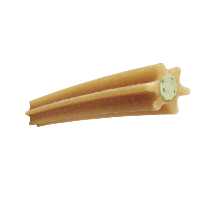 snack ADVANCE DENTAL CARE STICK MINI Gabo y Gordo E Shop, la mejor tienda online en las Islas Canarias, España, tienda online para mascotas, perros, gatos, conejos, tortugas, animales, accesorios para mascotas en general. 
Gabo y Gordo E Shop in Canary Islands, the best store for pets, dogs, cats, rabbits, turtles, animals, pet accessories.
