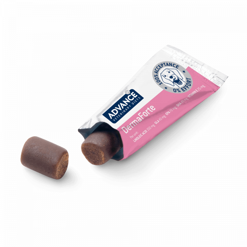 suplemento snack ADVANCE DERMAFORTE 150GR Gabo y Gordo E Shop, la mejor tienda online en las Islas Canarias, España, tienda online para mascotas, perros, gatos, conejos, tortugas, animales, accesorios para mascotas en general.
Gabo y Gordo E Shop in Canary Islands, the best store for pets, dogs, cats, rabbits, turtles, animals, pet accessories.