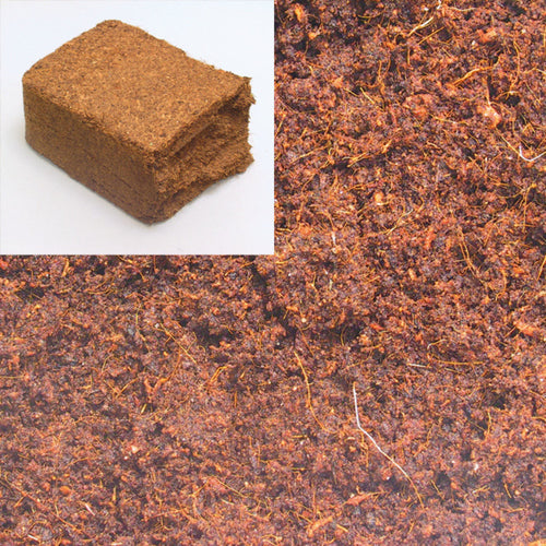 JBL TERRACOCO HUMUS Gabo&Gordo Pet Shop en Las Palmas de Gran Canaria tienda para mascotas, perros, gatos, conejos, tortugas, animales, accesorios para mascotas