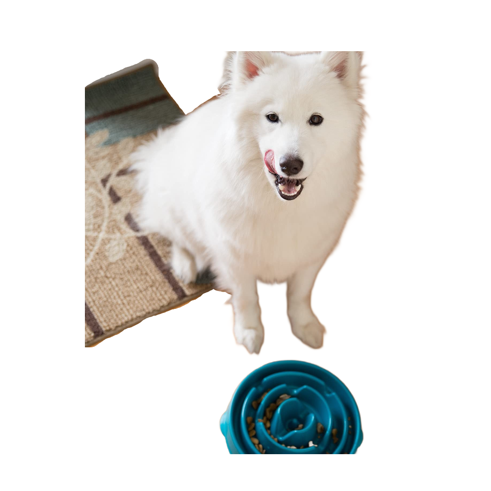 Outward Hound Fun Feeder Slo-Bowl - Comedero con obstáculos para Perros - Turquesa - Grande
