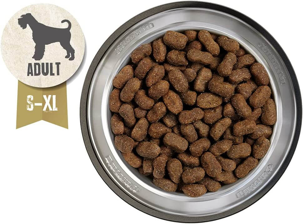 BELCANDO ADULT GF HORSE | Pienso para perro adulto sin cereales Gabo&Gordo Pet Shop en Las Palmas de Gran Canaria tienda para mascotas, perros, gatos, conejos, tortugas, animales, accesorios para mascotas