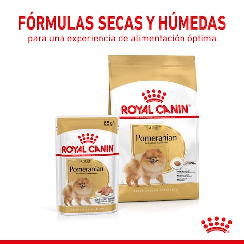 ROYAL CANIN Pomeranian ADULT 3 kg Gabo y Gordo E Shop, la mejor tienda online en Gran Canaria, Islas Canarias, España, tienda online para mascotas, perros, gatos, conejos, tortugas, animales, accesorios para mascotas en general. 
Gabo y Gordo E Shop is the best online pet shop in Gran Canaria, Canary Islands, Spain.