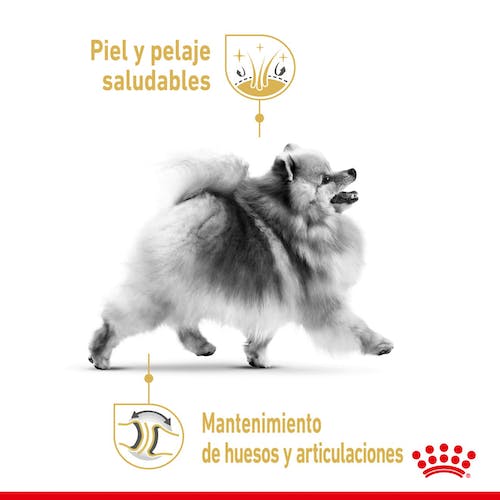 ROYAL CANIN Pomeranian ADULT 3 kg Gabo y Gordo E Shop, la mejor tienda online en Gran Canaria, Islas Canarias, España, tienda online para mascotas, perros, gatos, conejos, tortugas, animales, accesorios para mascotas en general. 
Gabo y Gordo E Shop is the best online pet shop in Gran Canaria, Canary Islands, Spain.