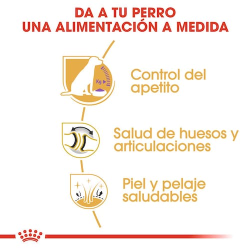 ROYAL CANIN Labrador Retriever Adulto Sterilised 12 kg Gabo y Gordo E Shop, la mejor tienda online en Gran Canaria, Islas Canarias, España, tienda online para mascotas, perros, gatos, conejos, tortugas, animales, accesorios para mascotas en general. 
Gabo y Gordo E Shop is the best online pet shop in Gran Canaria, Canary Islands, Spain.