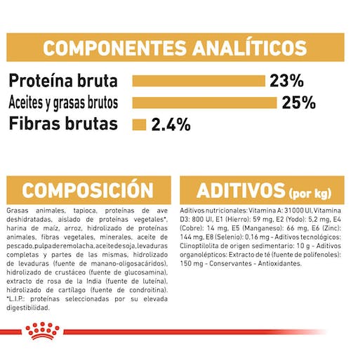 ROYAL CANIN Gran Danés Adulto 12 kg Gabo y Gordo E Shop, la mejor tienda online en Gran Canaria, Islas Canarias, España, tienda online para mascotas, perros, gatos, conejos, tortugas, animales, accesorios para mascotas en general. 
Gabo y Gordo E Shop is the best online pet shop in Gran Canaria, Canary Islands, Spain.