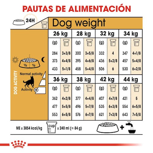 ROYAL CANIN PASTOR ALEMÁN Adulto Gabo y Gordo E Shop, la mejor tienda online en Gran Canaria, Islas Canarias, España, tienda online para mascotas, perros, gatos, conejos, tortugas, animales, accesorios para mascotas en general. 
Gabo y Gordo E Shop is the best online pet shop in Gran Canaria, Canary Islands, Spain.