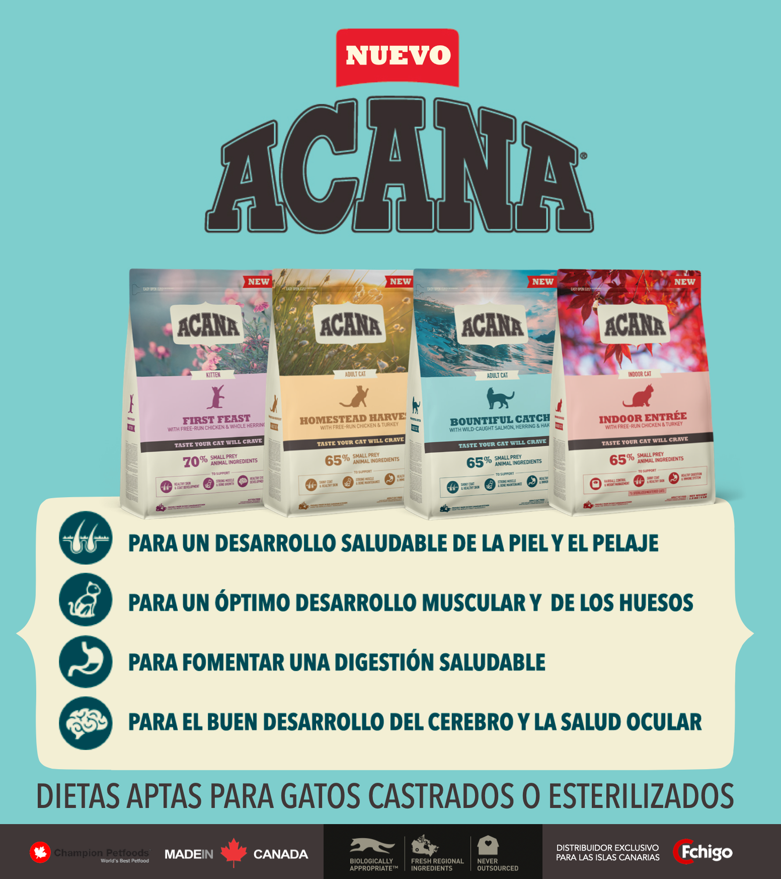 ACANA Bountiful Catch pienso natural sin cereales para gatos con salmón, bagre y arenque