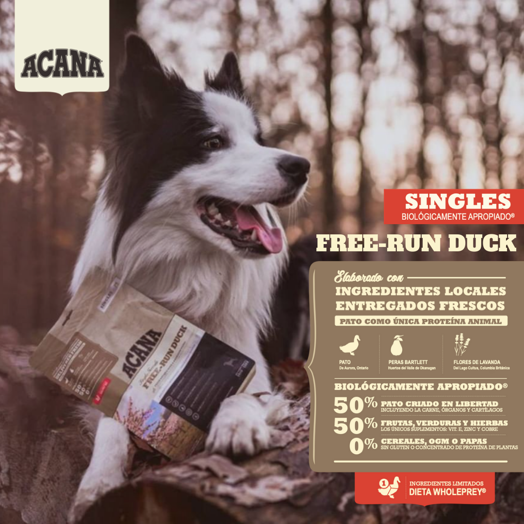 ACANA Duck & Pear | Pienso natural sin cereales con pato y pera para perros