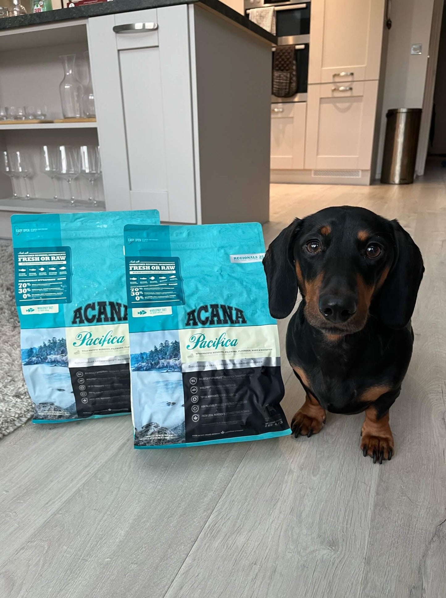 ACANA Pacifica pienso sin cereales con 5 pescados frescos para perros