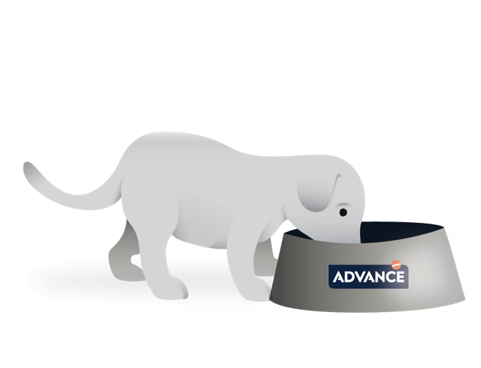 Saco de 3 kg de pienso ADVANCE Mother Dog & Initial para perras gestantes, lactantes y cachorros.