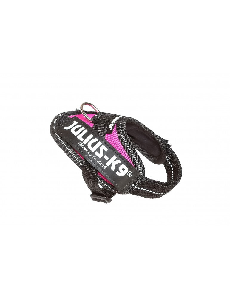 Perro usando arnés JULIUS K9 IDC Powerharness fucsia, ergonómico y reflectante, ideal para paseos seguros y cómodos.