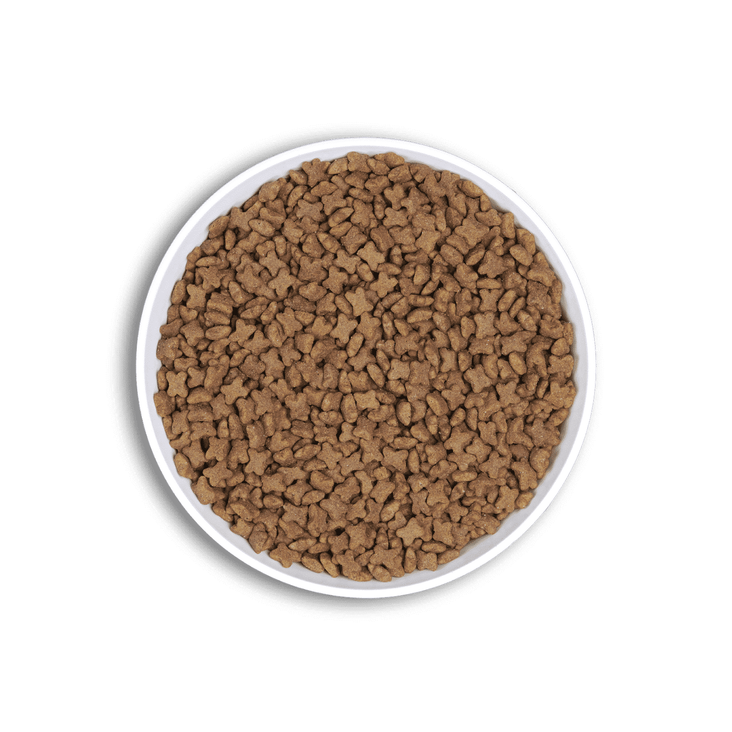 Alimento para Hurón Adulto Gabo&Gordo Pet Shop en Las Palmas de Gran Canaria tienda para mascotas, perros, gatos, conejos, tortugas, animales, accesorios para mascotas