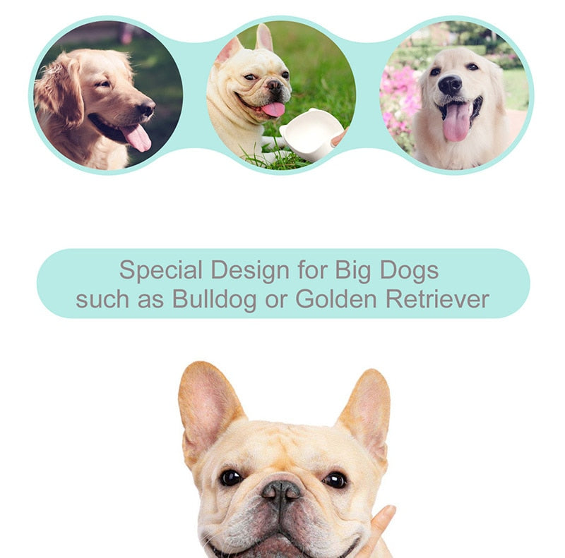 Botella antiderrame portátil para perros y gatos 550 ml color elegante