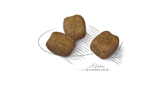 ROYAL CANIN Dental Care Gabo&Gordo Pet Shop en Las Palmas de Gran Canaria tienda para mascotas, perros, gatos, conejos, tortugas, animales