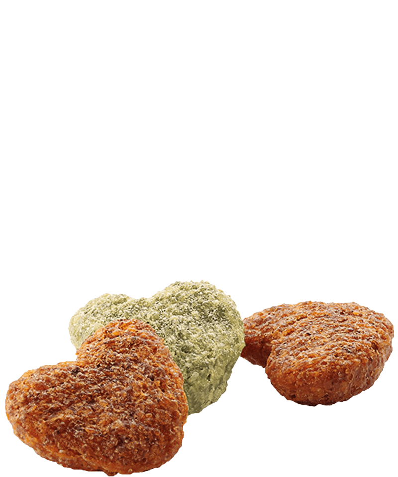 VERSELE LAGA COMPLETE RAT & MOUSE/ Alimento completo para ratas y ratones