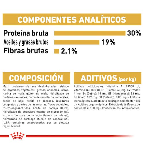 ROYAL CANIN POODLE ADULT PIENSO Gabo&Gordo Pet Shop en Las Palmas de Gran Canaria tienda para mascotas, perros, gatos, conejos, tortugas, animales