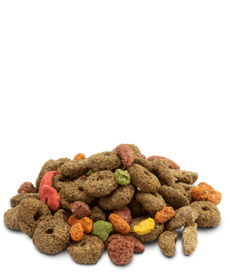 VERSELE LAGA Crispy Snack Fibres | Alimento crispy snack de fibras para conejos, cobayas, chinchillas, degús Gabo&Gordo Pet Shop en Las Palmas de Gran Canaria tienda para mascotas, perros, gatos, conejos, tortugas, animales