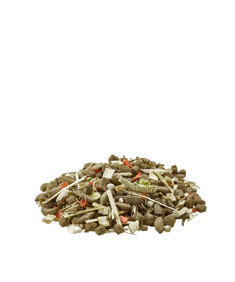 VERSELE LAGA Degu Nature | Alimento para degús Gabo&Gordo Pet Shop en Las Palmas de Gran Canaria tienda para mascotas, perros, gatos, conejos, tortugas, animales