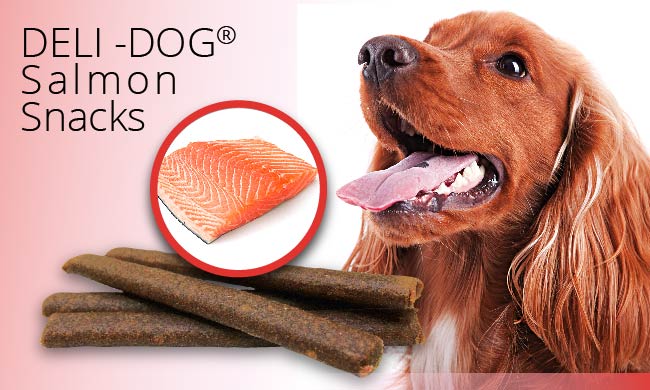 Barritas naturales DELI-DOG 800 g para perros, varios sabores