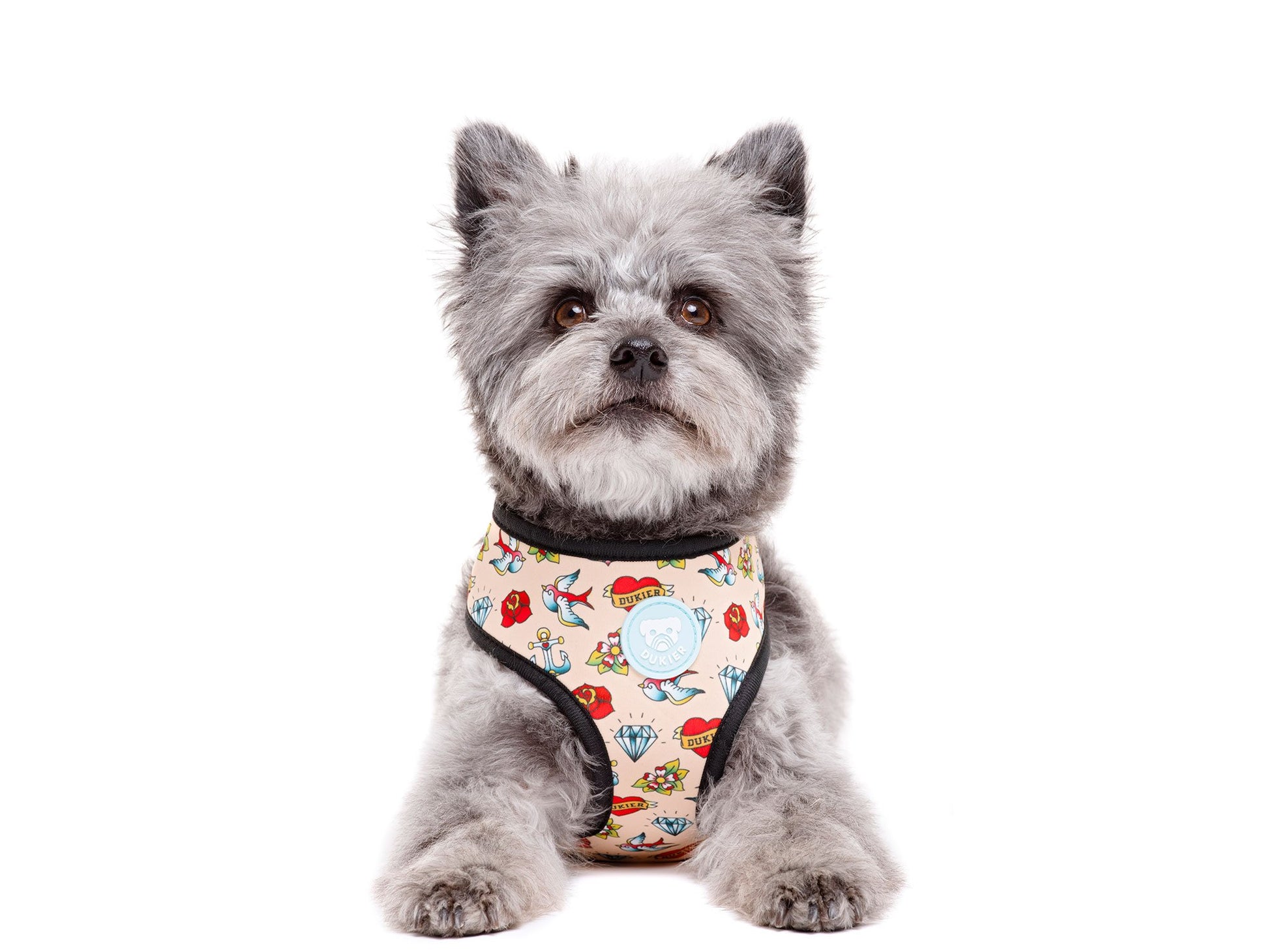 Arnés reversible DUKIER Tattoo para perros – neopreno y malla transpirable