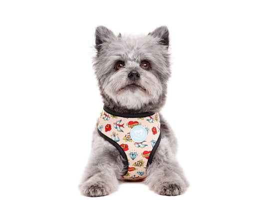 Arnés reversible DUKIER Tattoo para perros – neopreno y malla transpirable