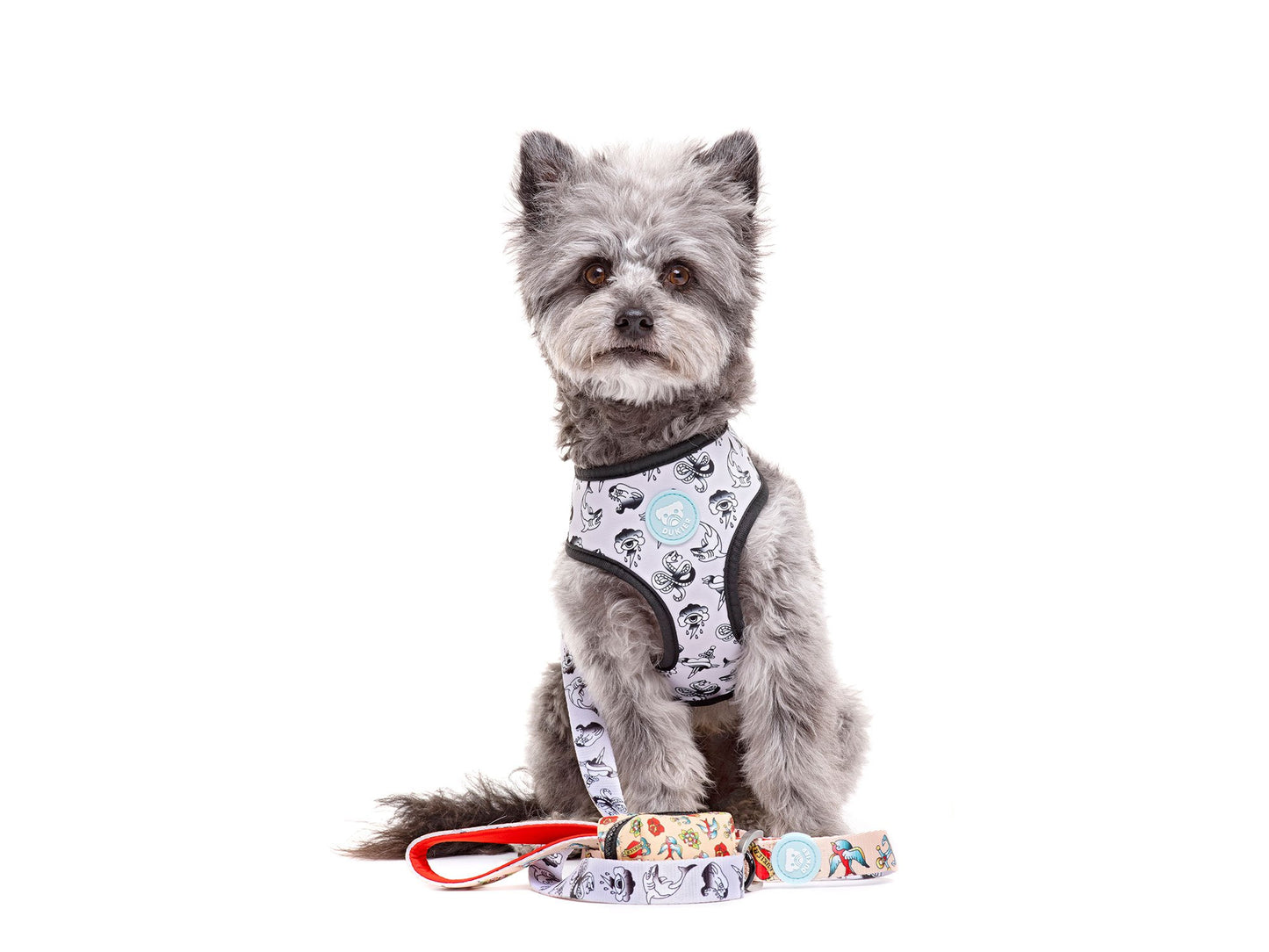 Arnés reversible DUKIER Tattoo para perros – neopreno y malla transpirable