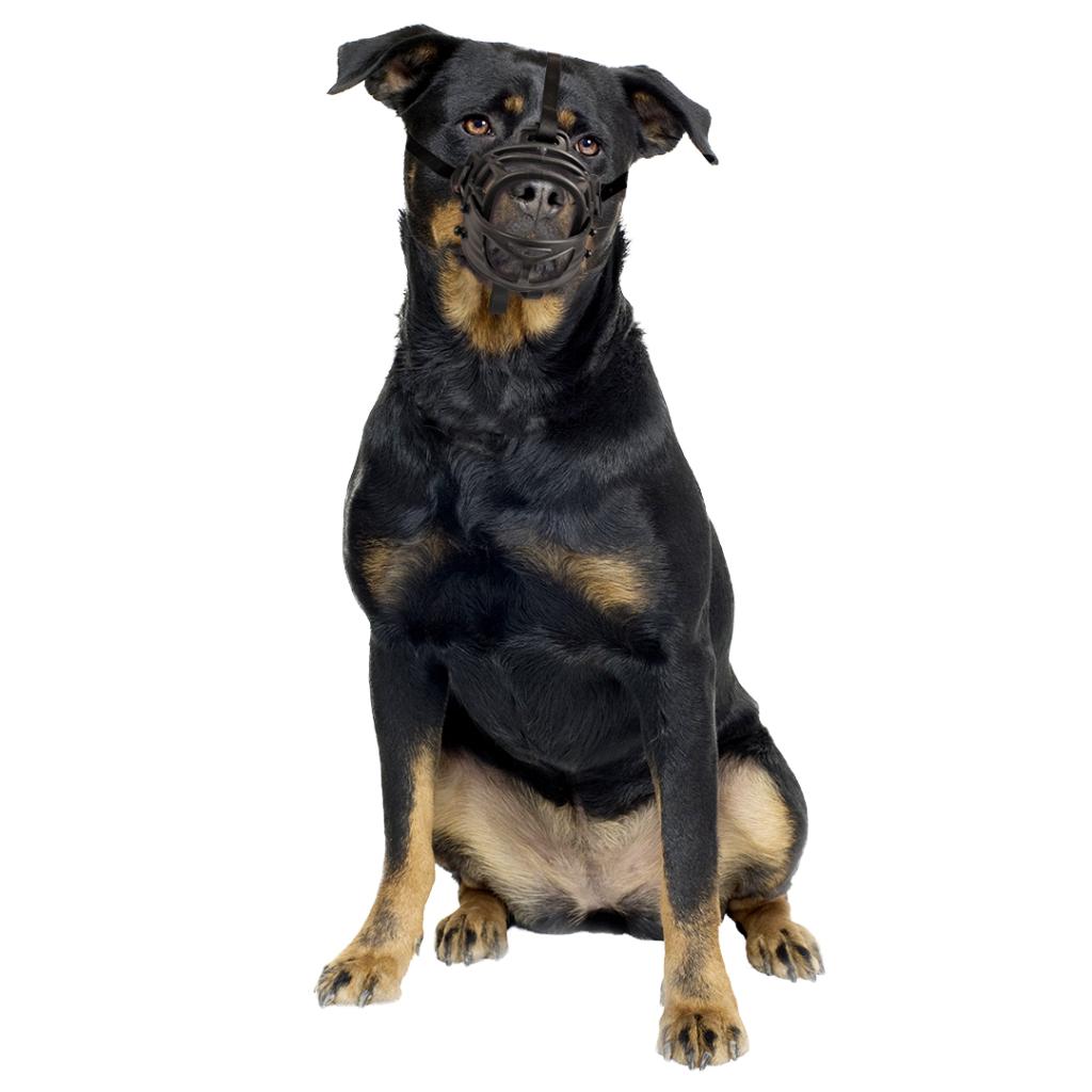 Bozal de goma Duvo ajustable con acolchado y frontal abatible para perros