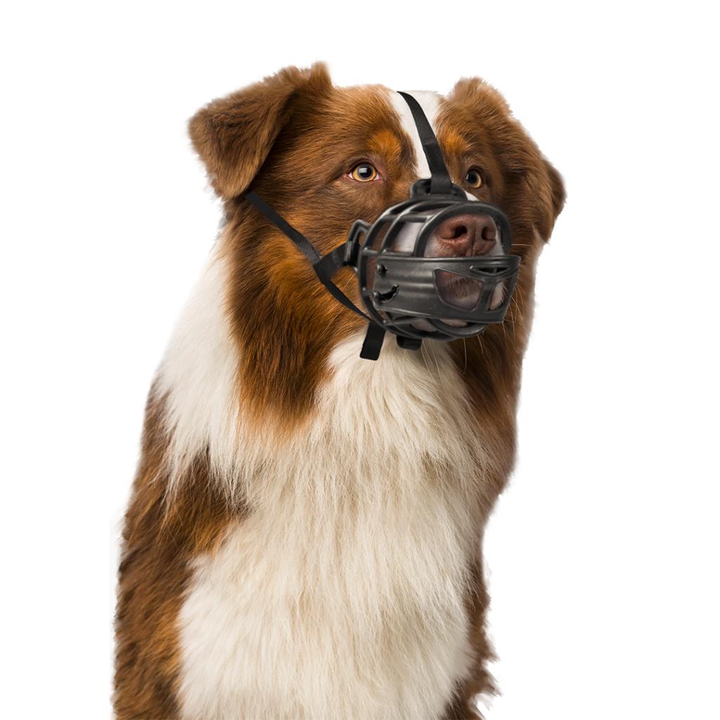 Bozal de goma Duvo ajustable con acolchado y frontal abatible para perros