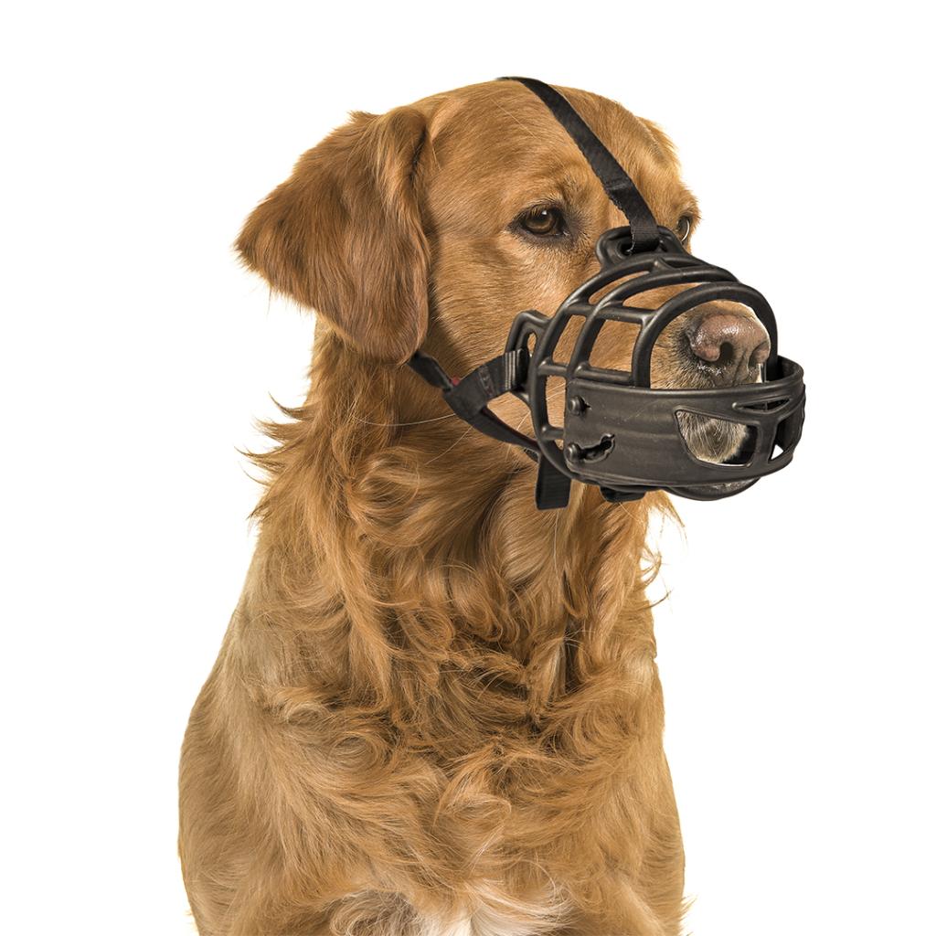 Bozal de goma Duvo ajustable con acolchado y frontal abatible para perros