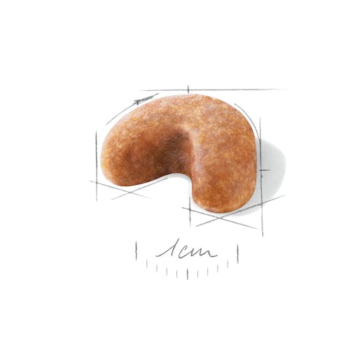 ROYAL CANIN FRENCH BULLDOG PUPPY Gabo&Gordo Pet Shop en Las Palmas de Gran Canaria tienda para mascotas, perros, gatos, conejos, tortugas, animales