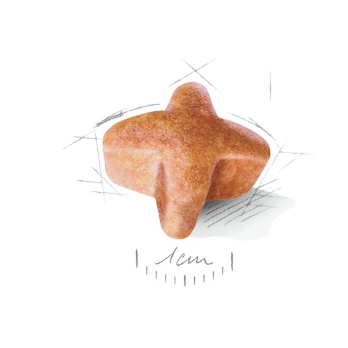 ROYAL CANIN PASTOR ALEMÁN Adulto.  Gabo y Gordo E Shop, la mejor tienda online en Gran Canaria, Islas Canarias, España, tienda online para mascotas, perros, gatos, conejos, tortugas, animales, accesorios para mascotas en general. 
Gabo y Gordo E Shop is the best online pet shop in Gran Canaria, Canary Islands, Spain.