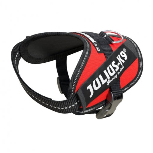 JULIUS K9 IDC Powerharness arnés Rojo para perro Gabo&Gordo Pet Shop en Las Palmas de Gran Canaria tienda para mascotas, perros, gatos, conejos, tortugas, animales, accesorios para mascotas