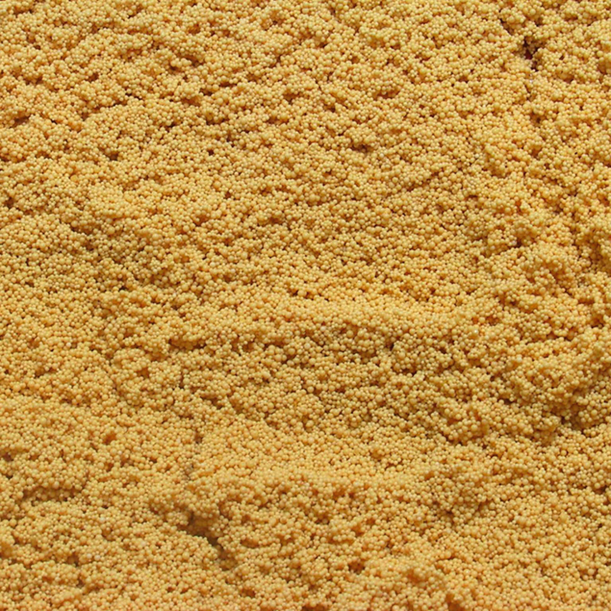 Envase de JBL NitratEx de 250 ml, material filtrante para reducir nitratos en acuarios de agua dulce.