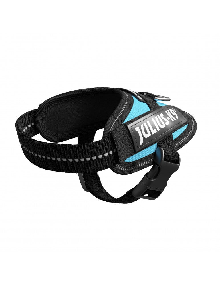 Arnés JULIUS K9 IDC Powerharness color aguamarina, reflectante y ergonómico para perros