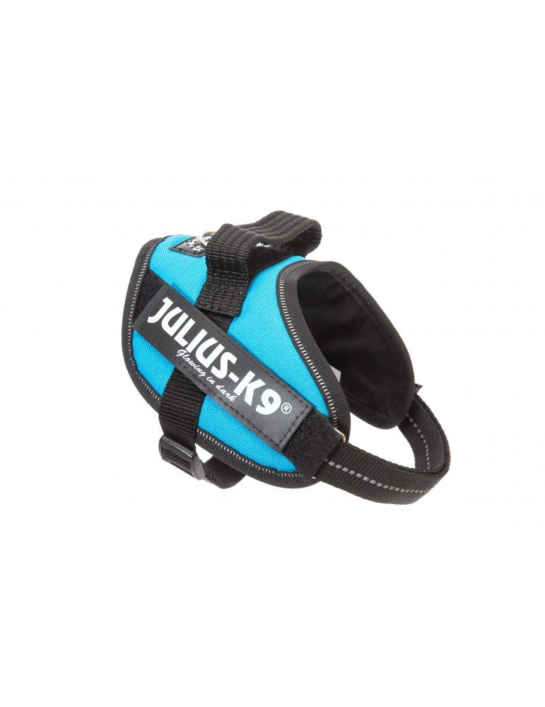 Arnés JULIUS K9 IDC Powerharness color aguamarina, reflectante y ergonómico para perros
