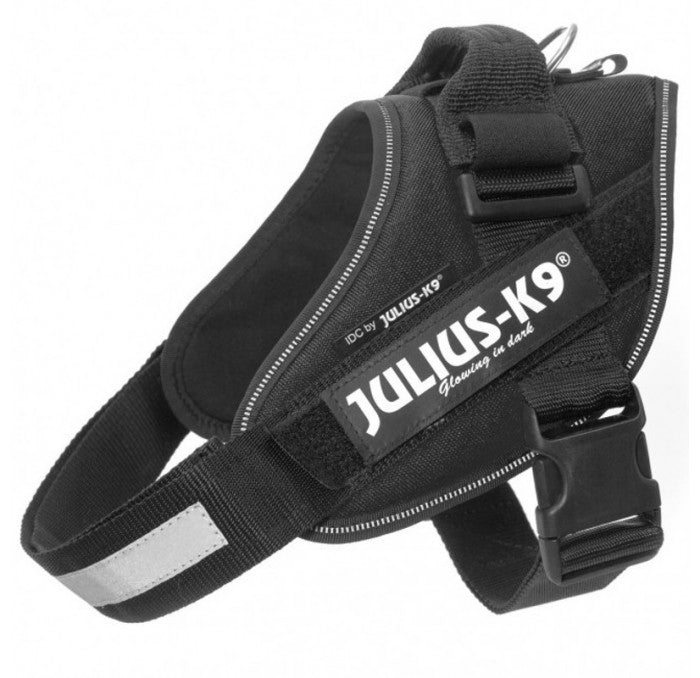 Perro usando arnés JULIUS K9 IDC Powerharness Negro, ergonómico y reflectante