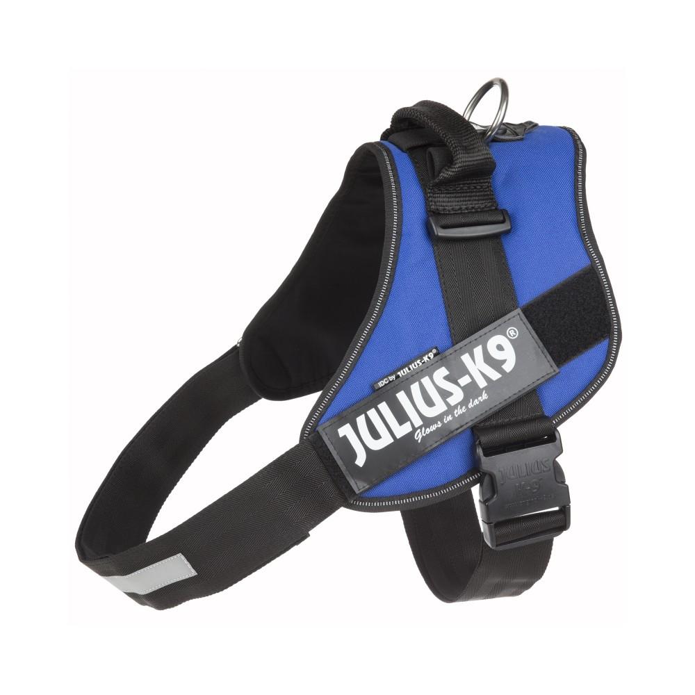 Perro usando el arnés JULIUS K9 IDC Powerharness azul, ideal para paseos seguros y cómodos