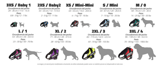 Arnés JULIUS K9 IDC Powerharness Verde Oscuro reflectante y ergonómico para perros